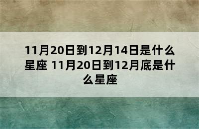 11月20日到12月14日是什么星座 11月20日到12月底是什么星座